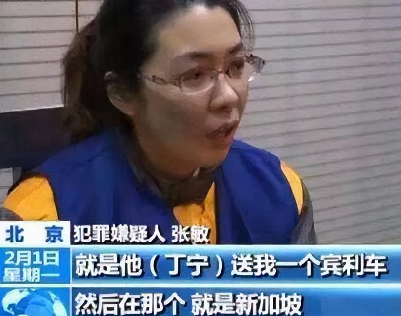 缅北诈骗团伙跟丁宁有关吗,e租宝丁宁是在缅北抓的吗