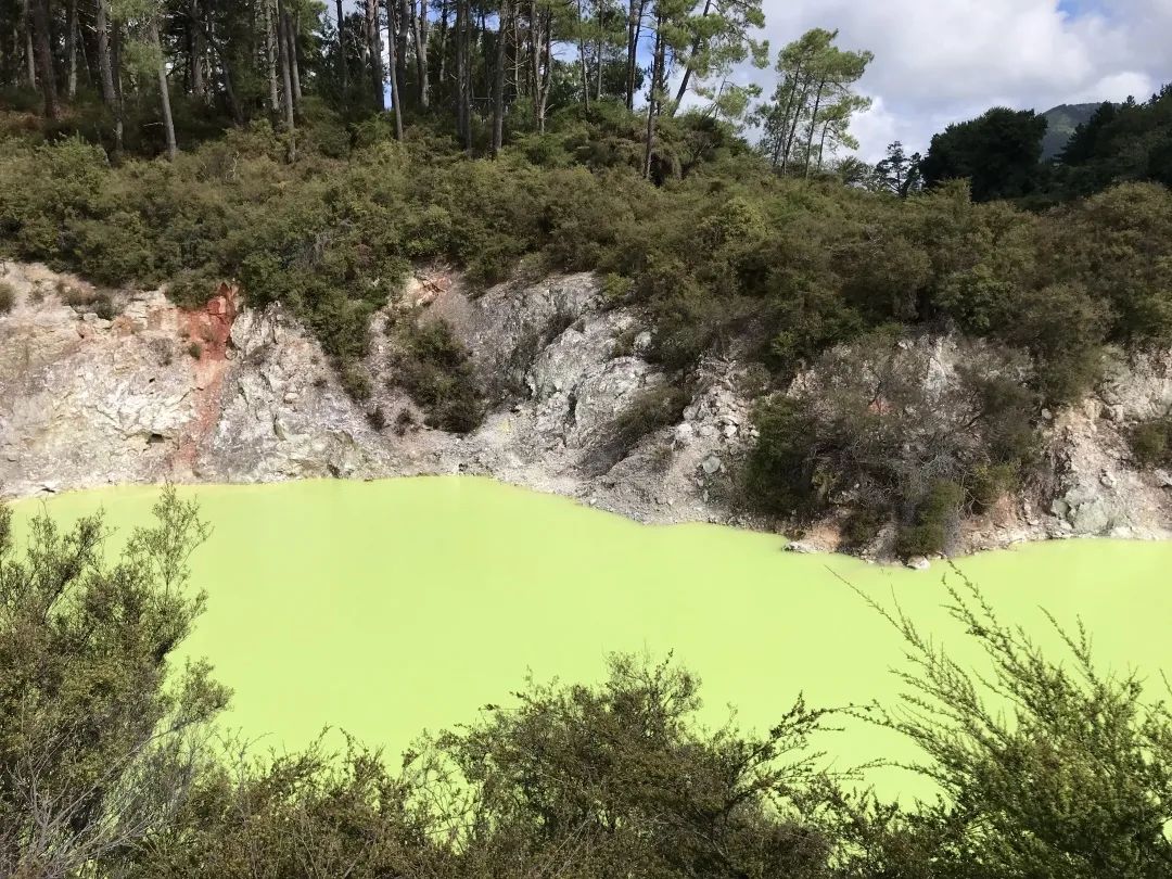 写给不被疫情束缚的心:用文字“云”游新西兰全境