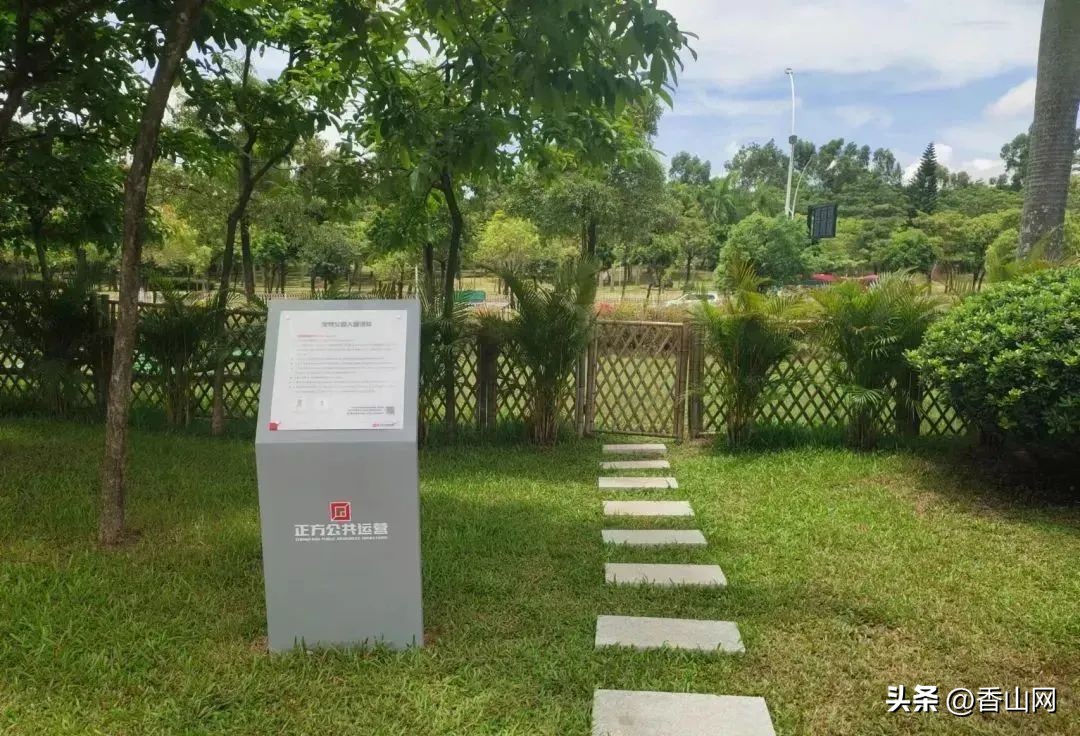 珠海遛狗有市场吗,珠海有哪些地方可以遛狗啊