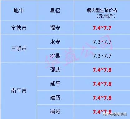 今日福建各地猪价行情走势,猪价最新快讯