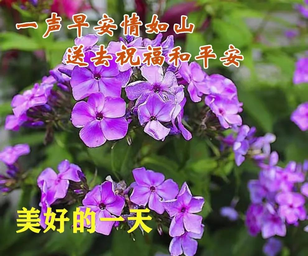 6月5日周一早安快乐！新的一天健康平安幸福安康图文