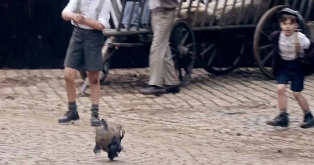 彪马和阿迪达斯是亲兄弟吗,阿迪达斯和彪马都是德国品牌吗