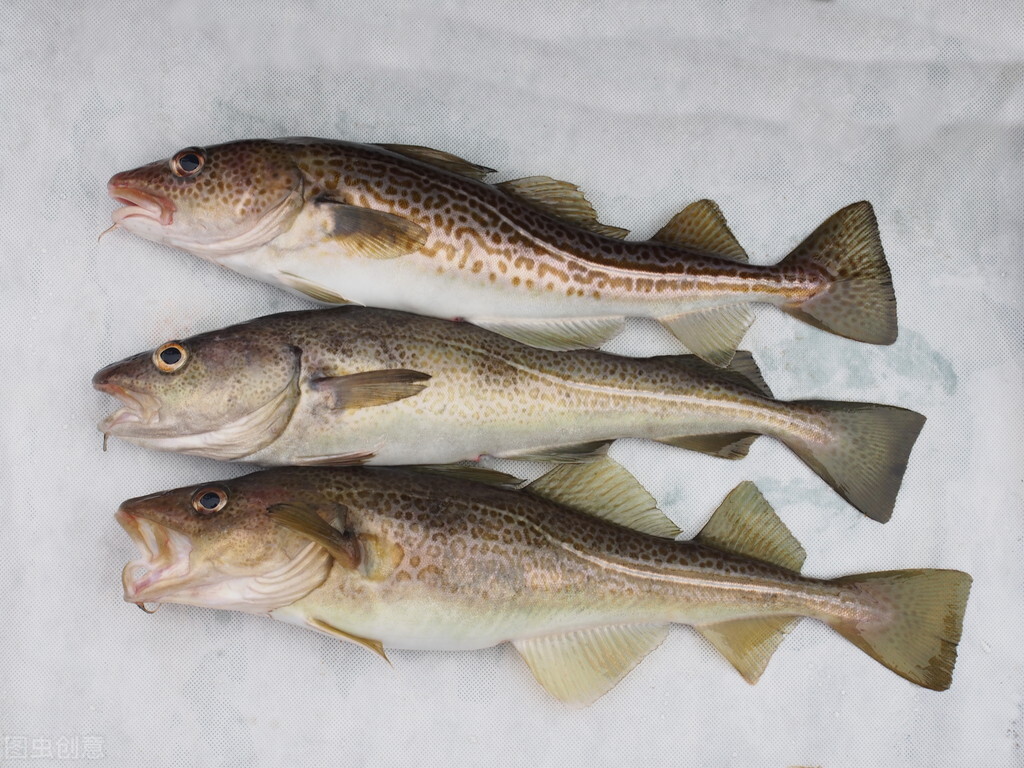 1分钟了解葡萄牙,葡萄牙冷知识100例