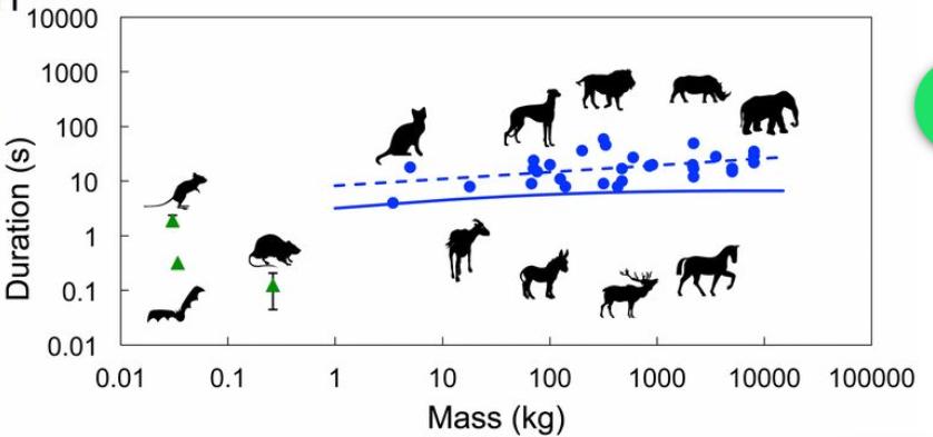 30岁男人一天小便多少次算正常,男生小便等待10秒正常吗