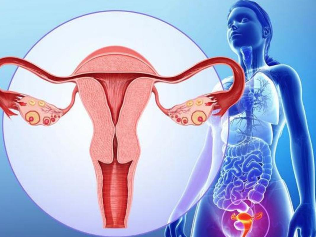没了子宫的女人，和正常女性有啥不同？这3个变化，也许无法接受