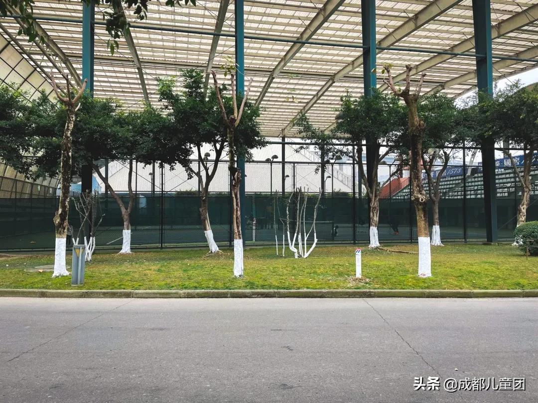 7-8岁儿童网球训练方法,适合4到8岁小朋友的网球运动