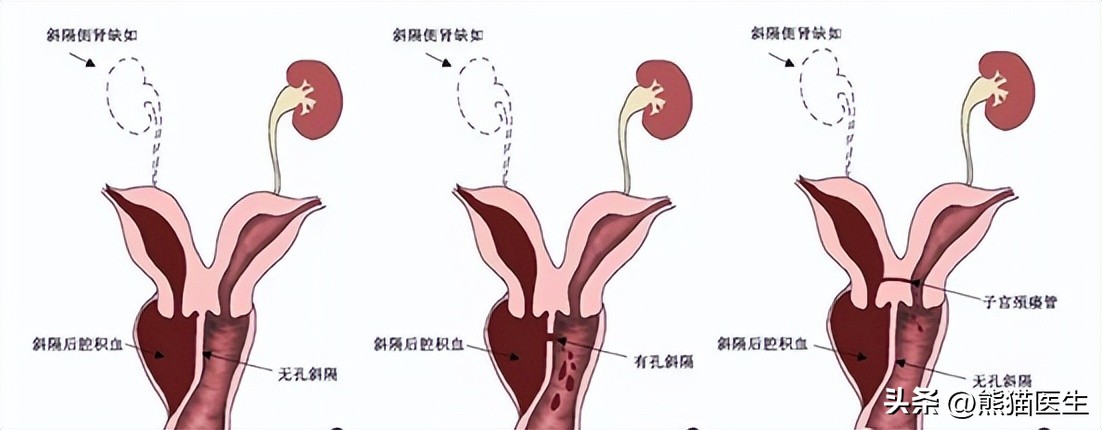 从上千张图像里揪病灶，“侦察兵”是临床医生的“千里眼”