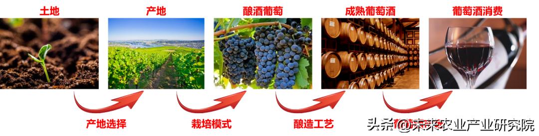 葡萄与葡萄酒工程,中国农业大学葡萄与葡萄酒工程