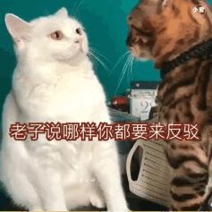 机械表保养一次多少钱?真的有这个必要吗?