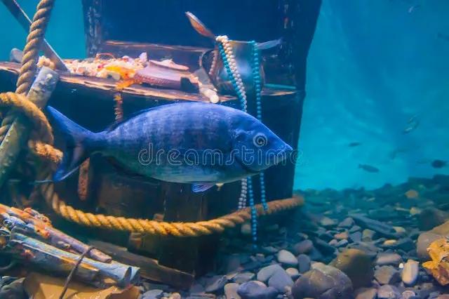 你不知道的国家冷知识牙买加,你不知道的冷知识牙买加