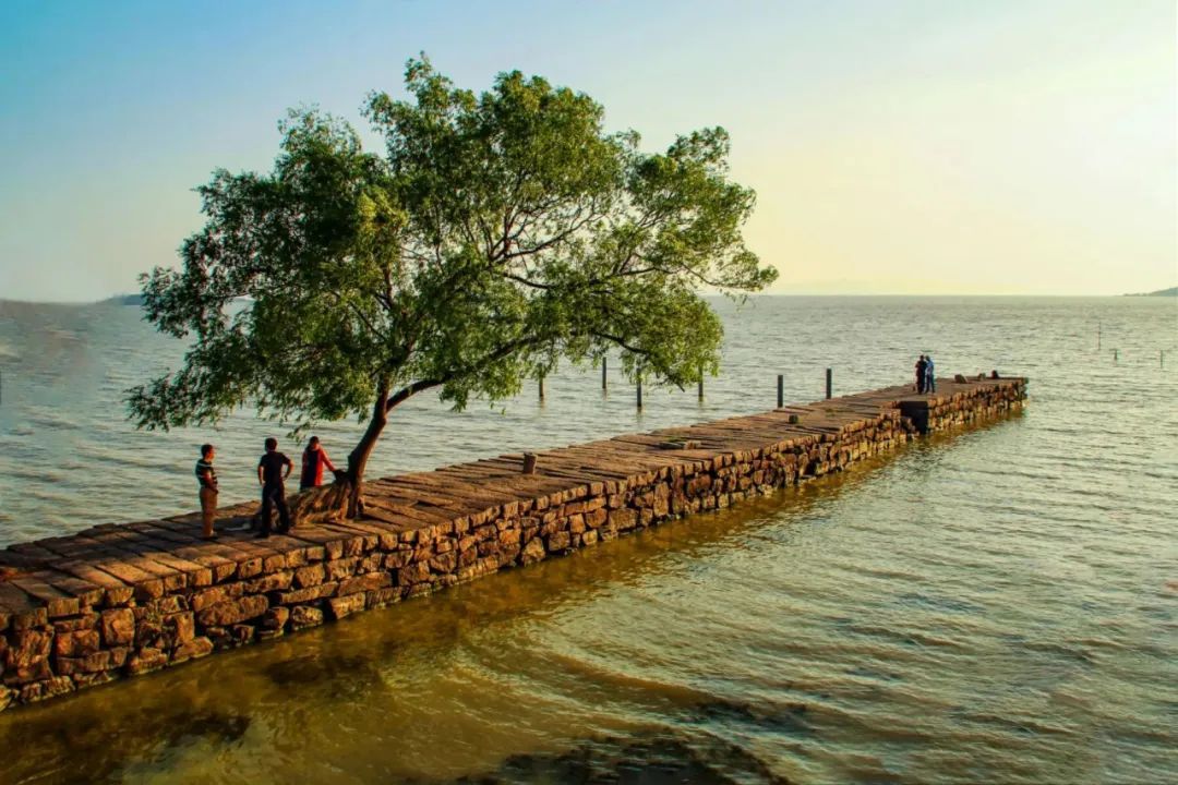 苏州旅游团七日游,苏州旅游团1日游