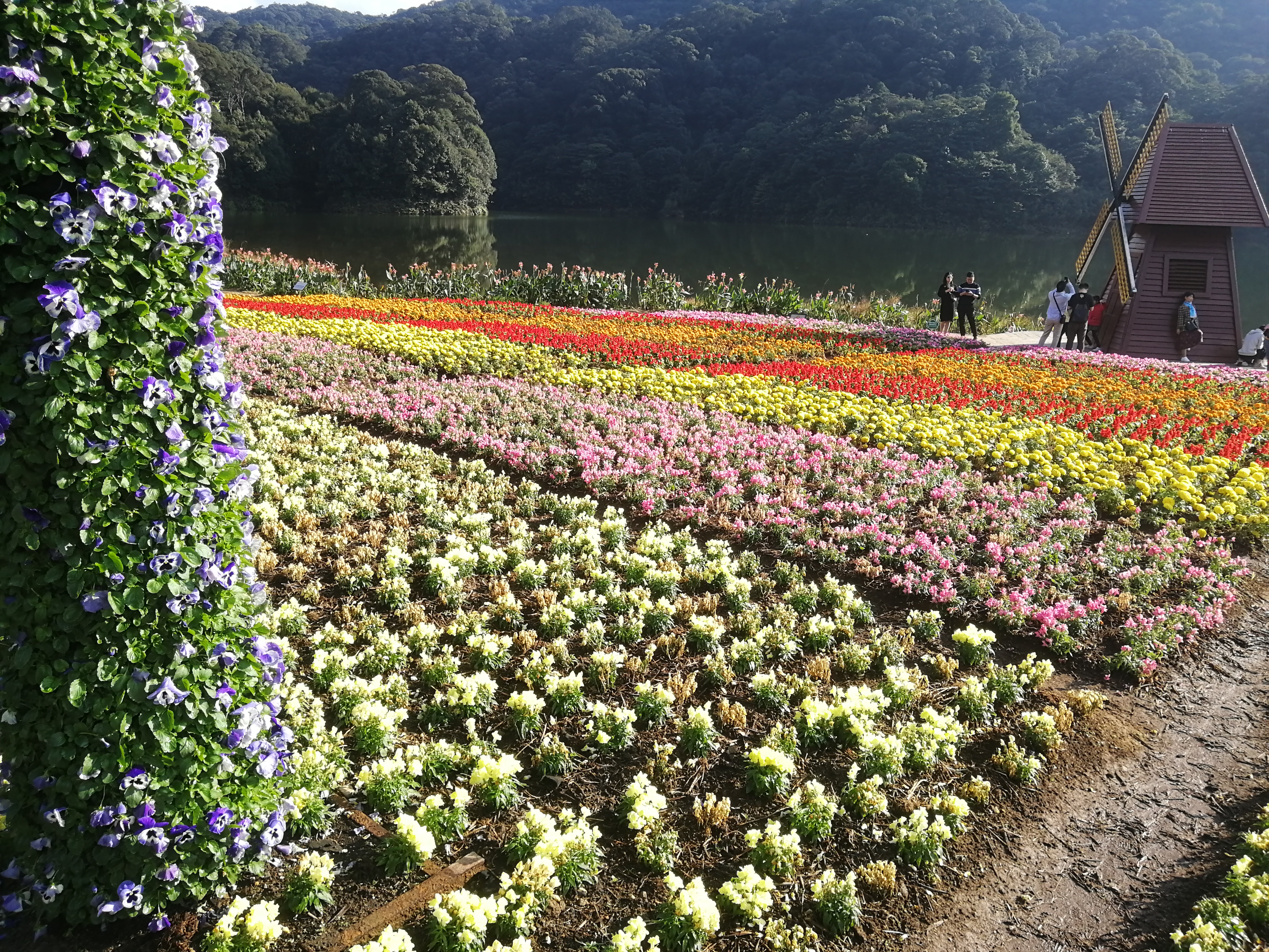 石门森林公园樱花谷交通线路,从化石门公园枫叶