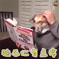 怎么查询自己的学历真假,哪个网站可以查学历是正规的