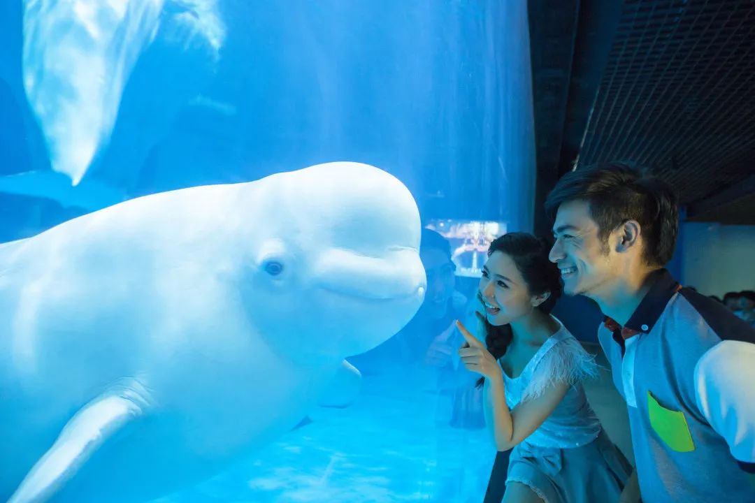 天津遛娃圣地,天津周末免费遛娃好去处