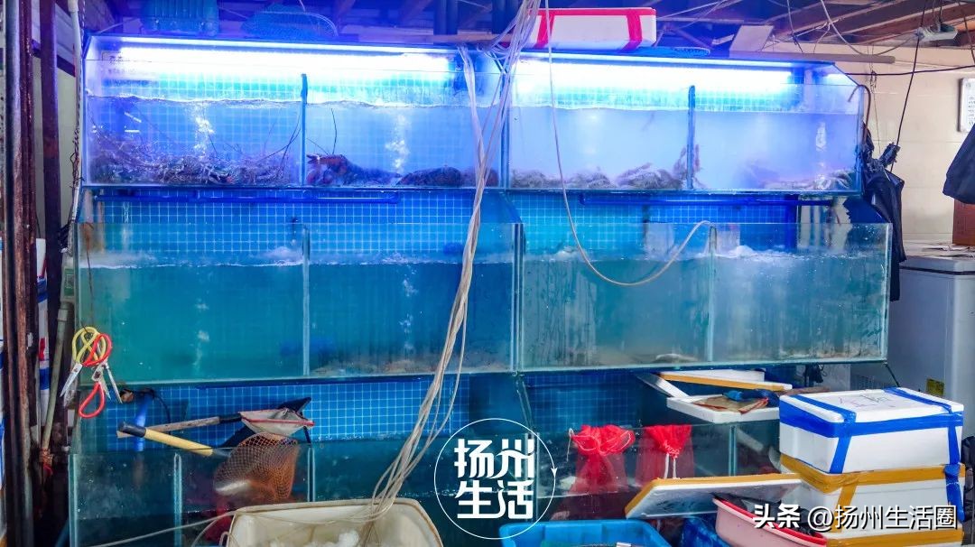 不吃一顿螃蟹，扬州人过不好这个秋天