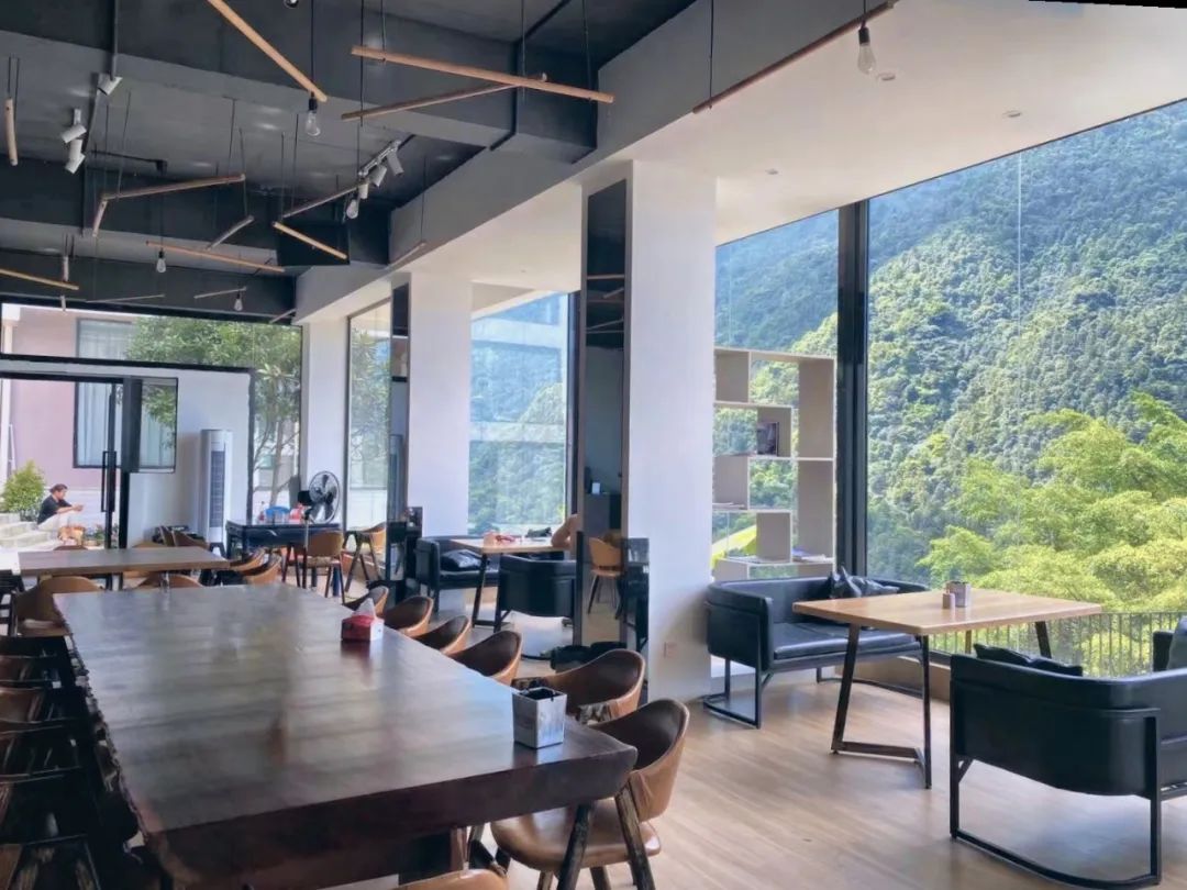 猫咪走太空步原视频最火,猫咪壁虎漫步视频