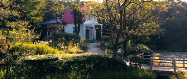 宫崎骏真的退休了吗,宫崎骏退休