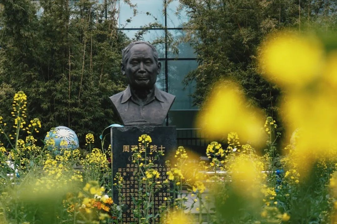 四川各个高校占地面积,四川省占地最大前十的大学