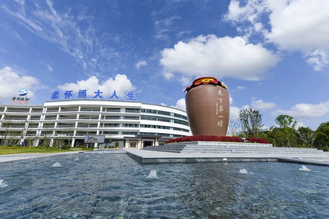 洋河正在创造的中国酒,洋河为什么会成功