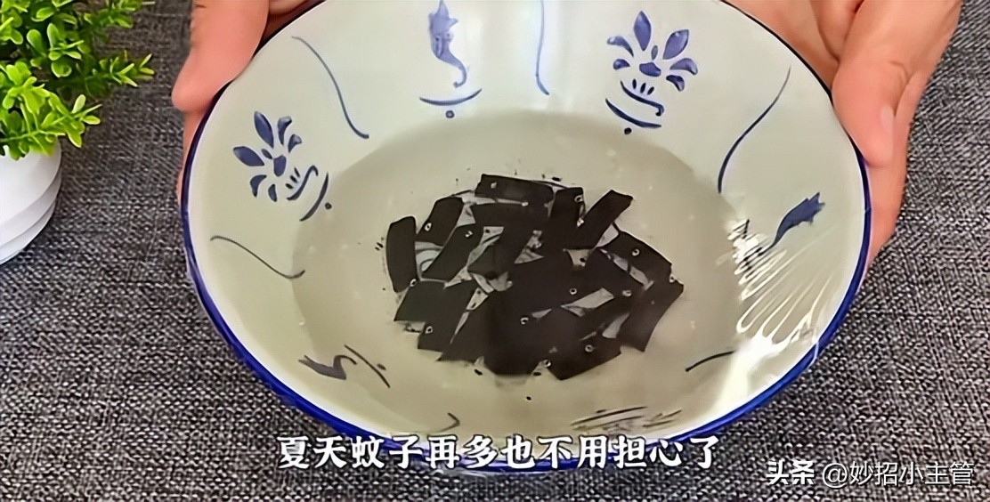 蚊香放水里泡一泡,蚊香放水里