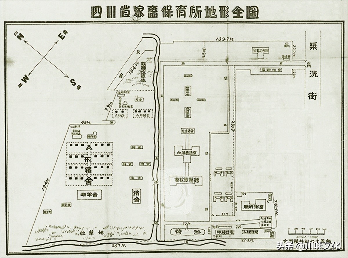 川猪变种记（中）转折