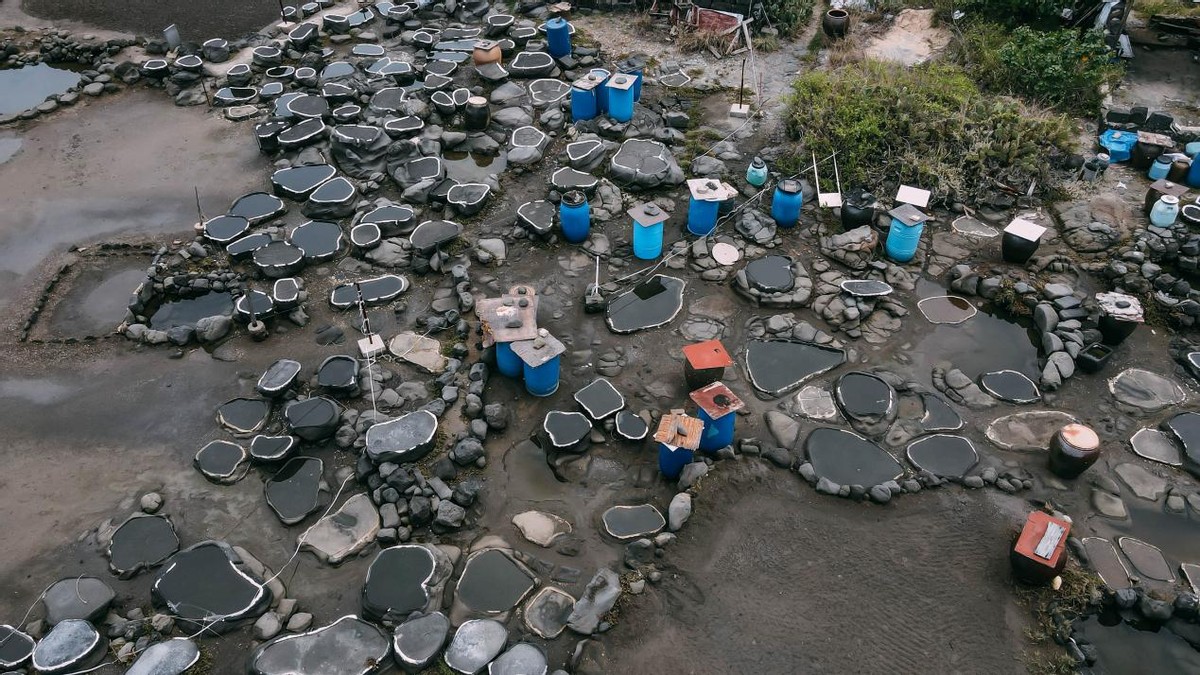 炎炎夏日，踏浪而来，赶赴一场和海南的约“惠”