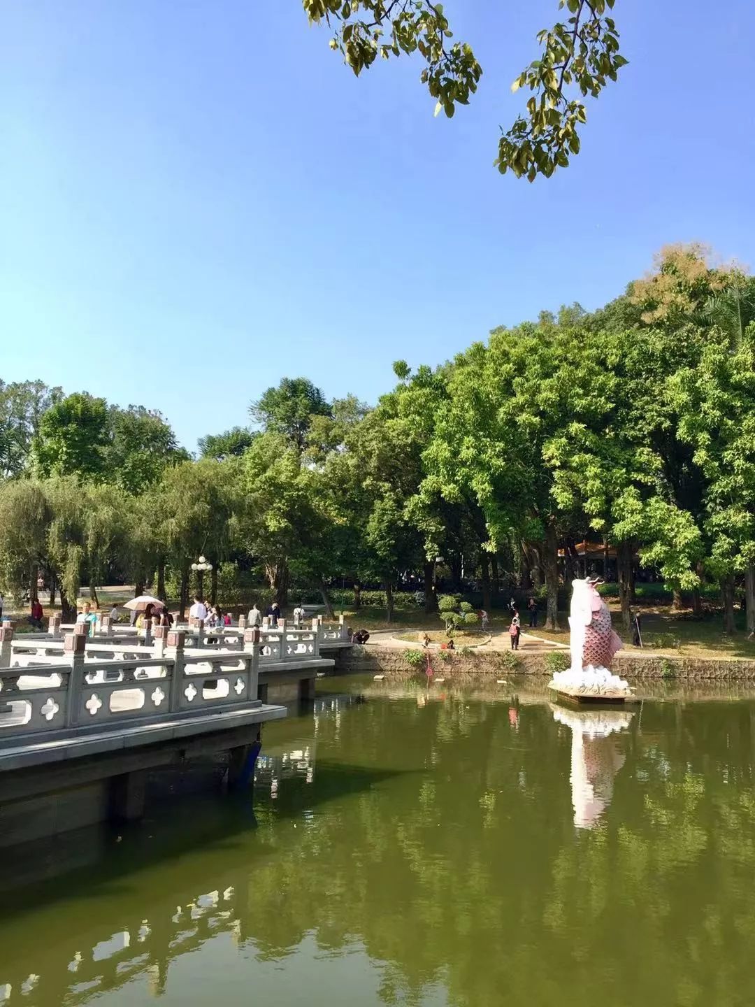 自驾深圳旅游攻略过年,自驾游深圳国庆攻略