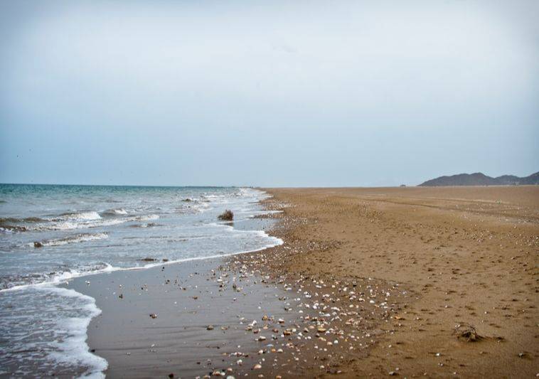 海滩冬季游玩攻略,冬季大梅沙海滩攻略