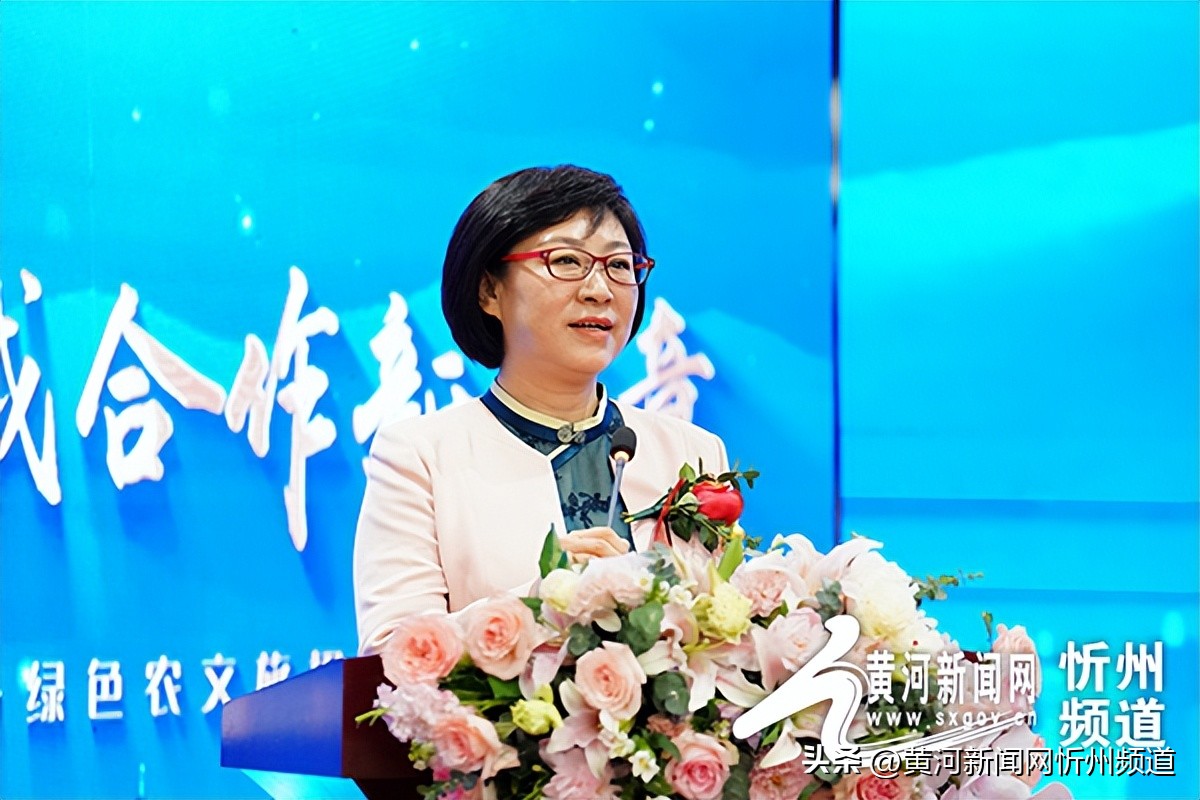 偏关县绿色农旅,偏关县新能源