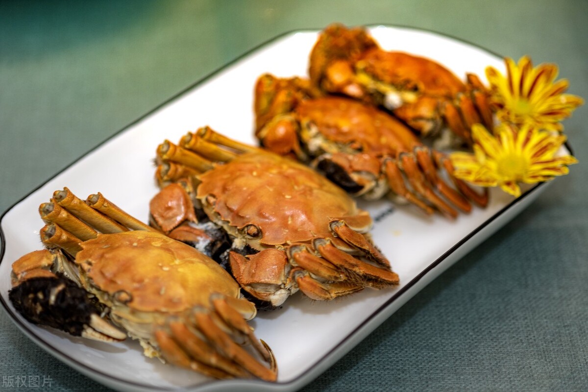 知名品牌大闸蟹加盟,浙江大闸蟹加盟哪家好一点