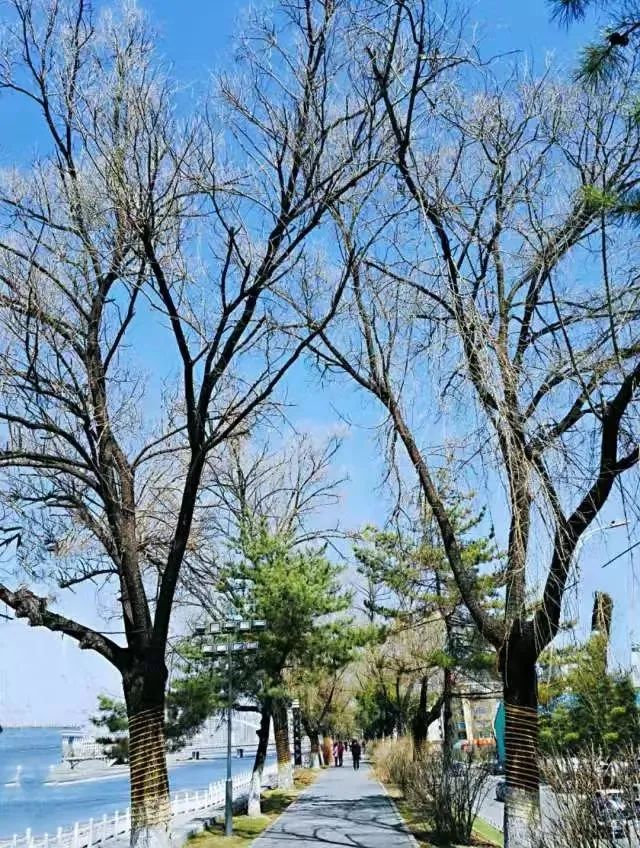 浑江城市观光人气推荐,浑江游玩好评排行榜