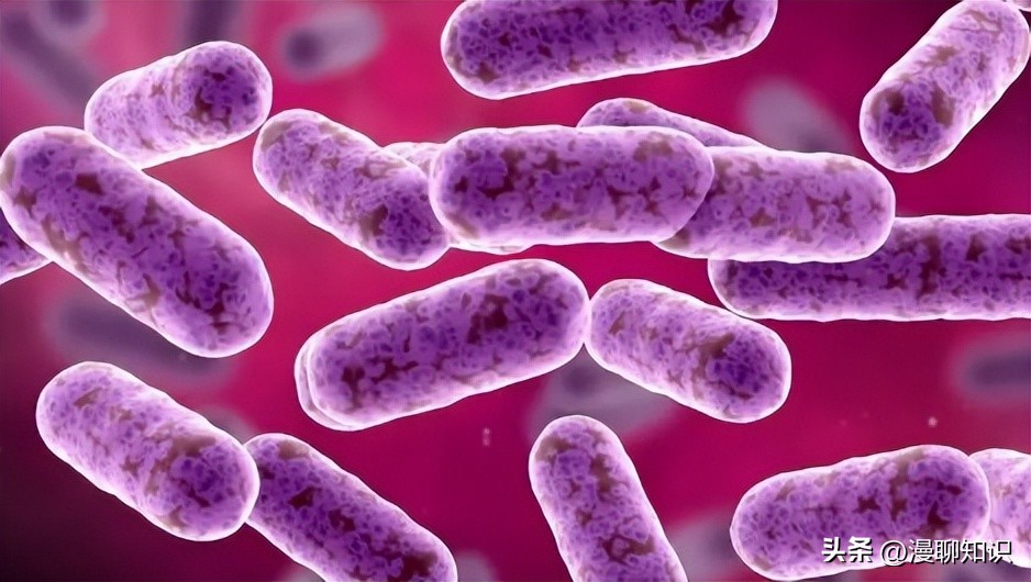 妇阴康洗剂的用途,妇阴康洗剂是抗生素药吗