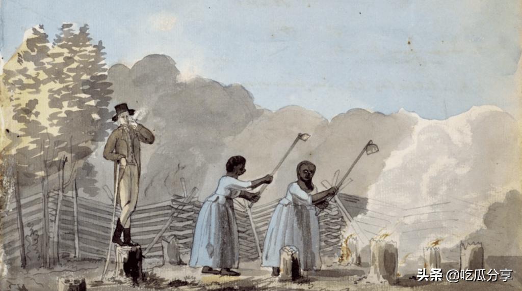 英国殖民地的奴隶,殖民地奴隶