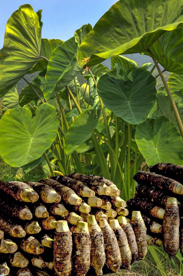 乐昌刘华益个人简介,乐昌刘华益个人信息