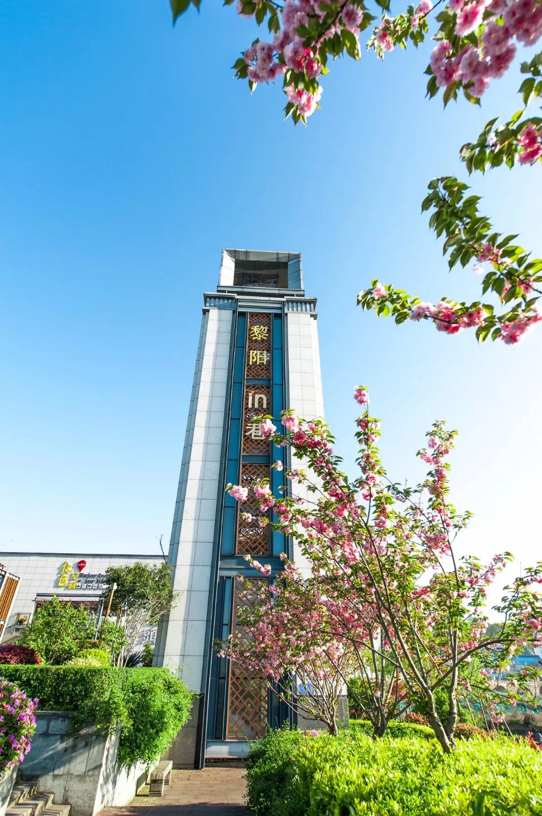 带你去看不一样的黄山之美,2020黄山旅游攻略带你玩转黄山