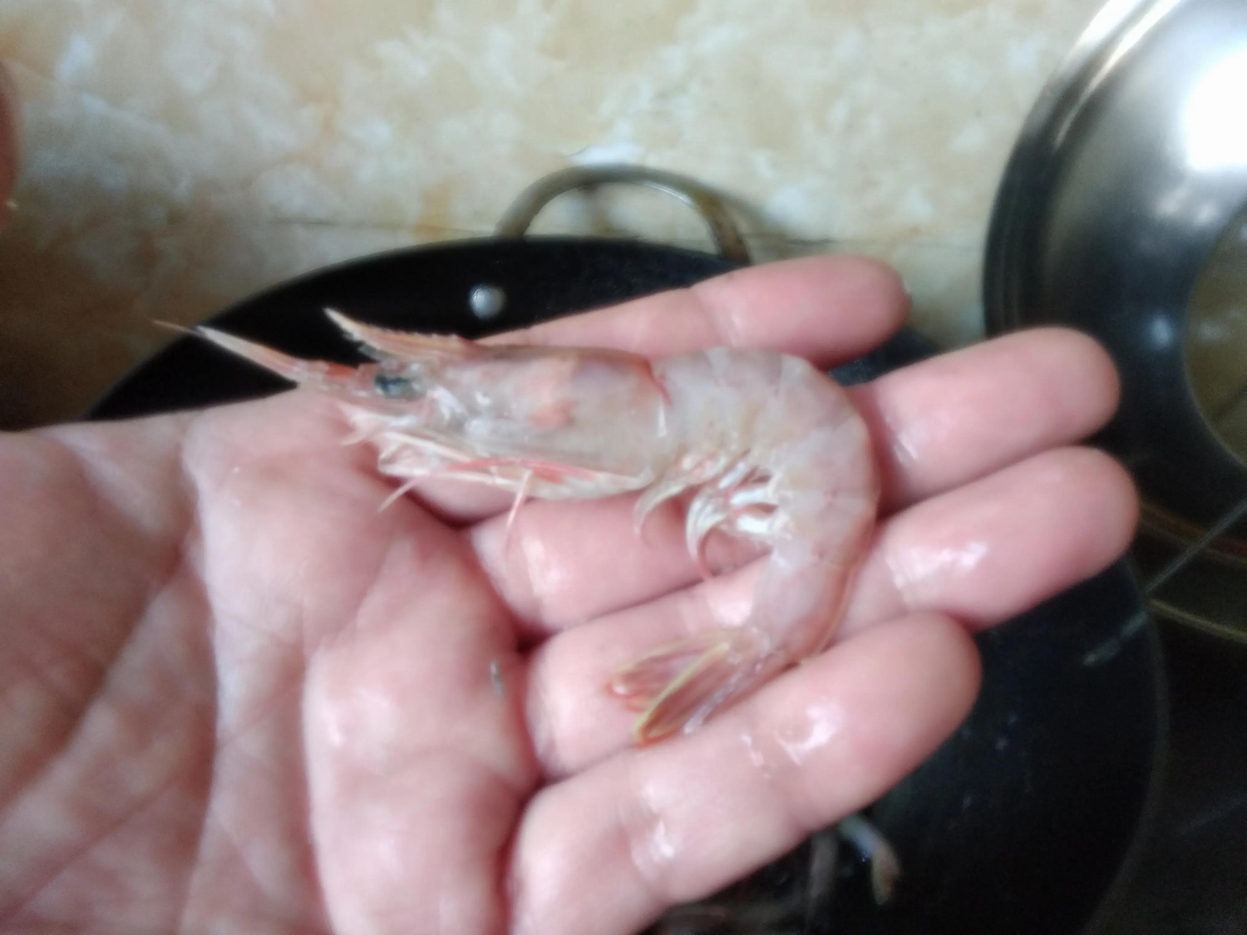 冬季海鲜出菜,立冬好吃的海鲜