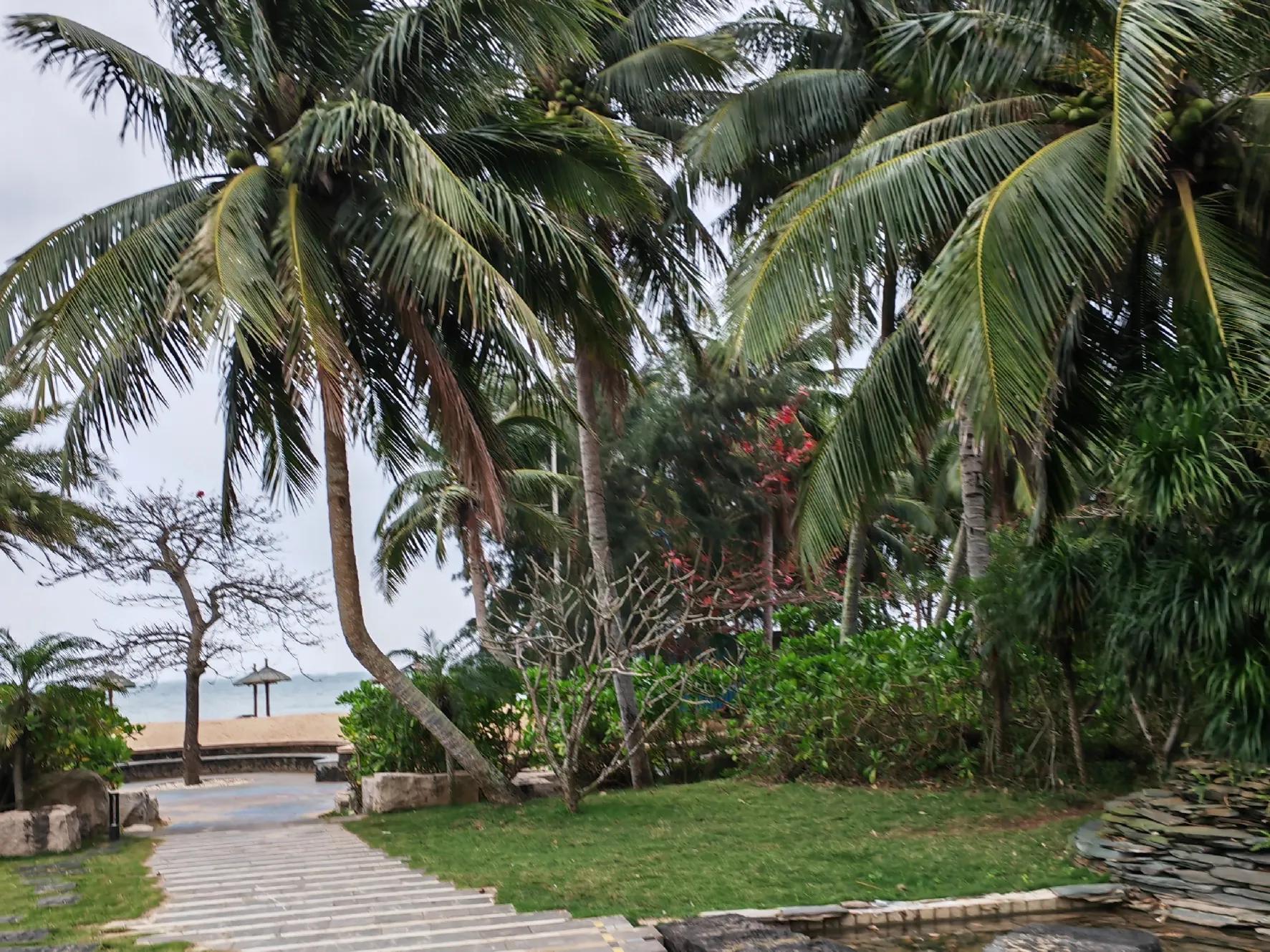 一车两人海南,一人一车自驾游海南怎么玩最实惠