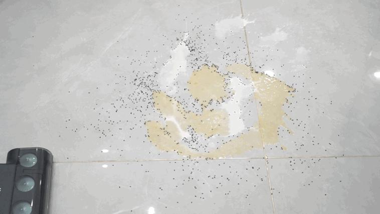 无滚筒洗地机米博,米博洗地机一机五用