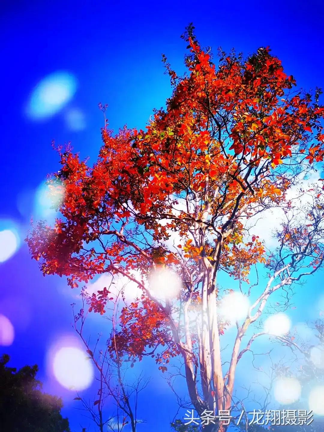 脸上出汗是什么原因呢,脸上流汗是凉的是怎么回事