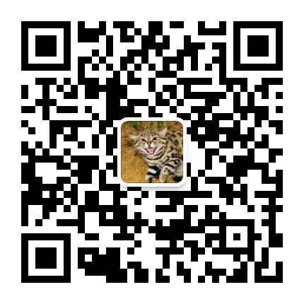 可转债抢权配售买正股,可转债抢权配债能挣钱吗