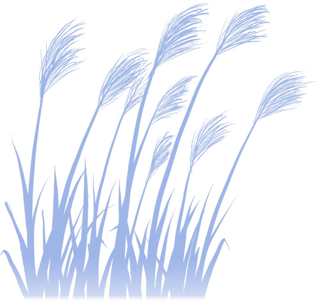 教你几招快速辨别五常大米,五常大米稻花香2号如何辨别真假