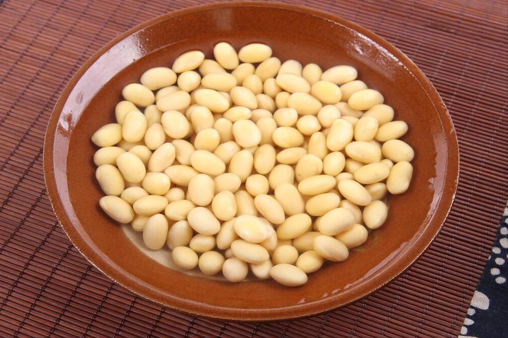 磨豆浆是干豆好还是湿豆好,干豆豆浆湿豆豆浆哪个好喝