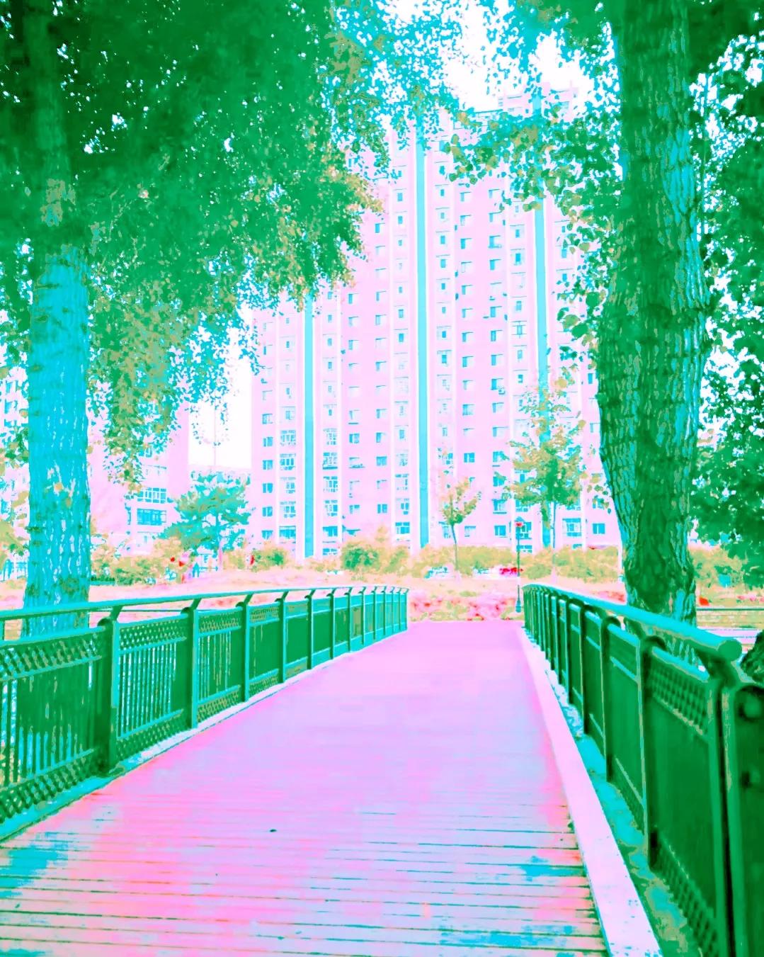 霞光是迷人还是美丽,迷人的晚霞令我神往