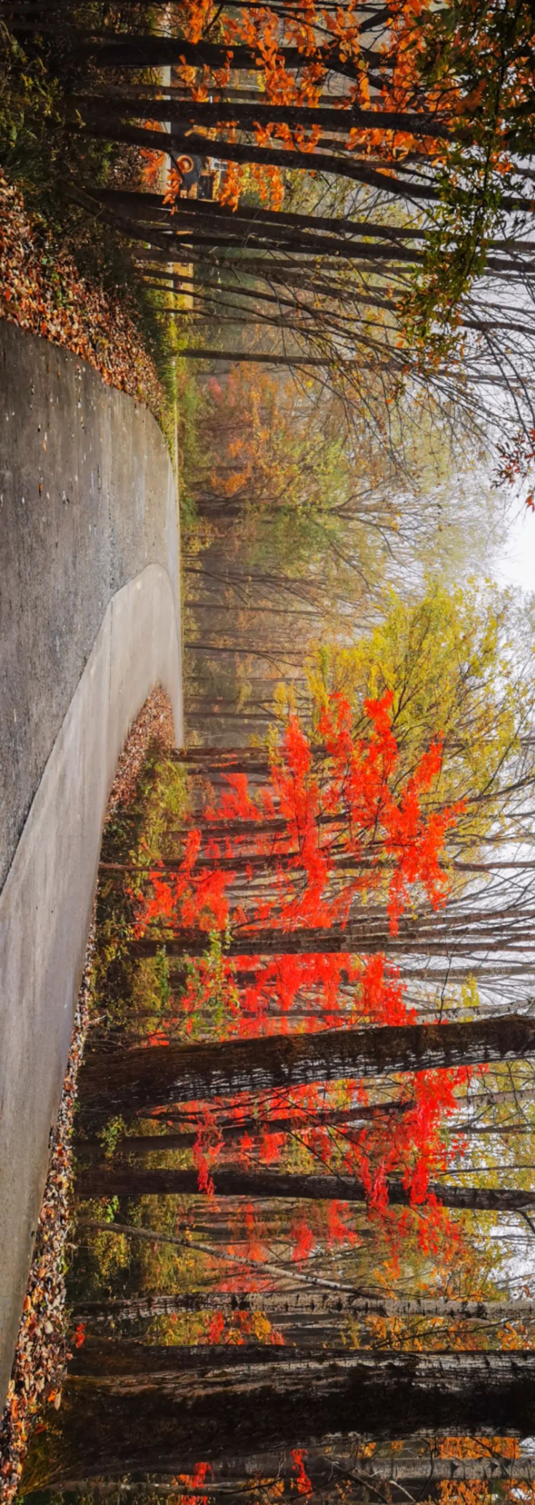 梦幻西游凤凰山,江西凤凰山梦幻影视城