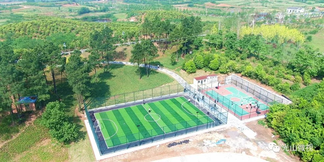 光山县司马光油茶园,河南光山司马光油茶园