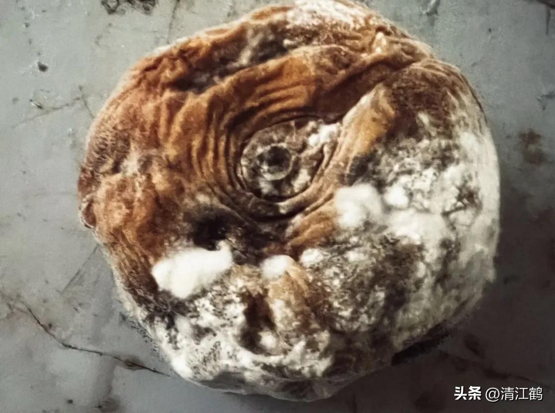 冬桃裂果是什么原因,冬桃烂心咋回事