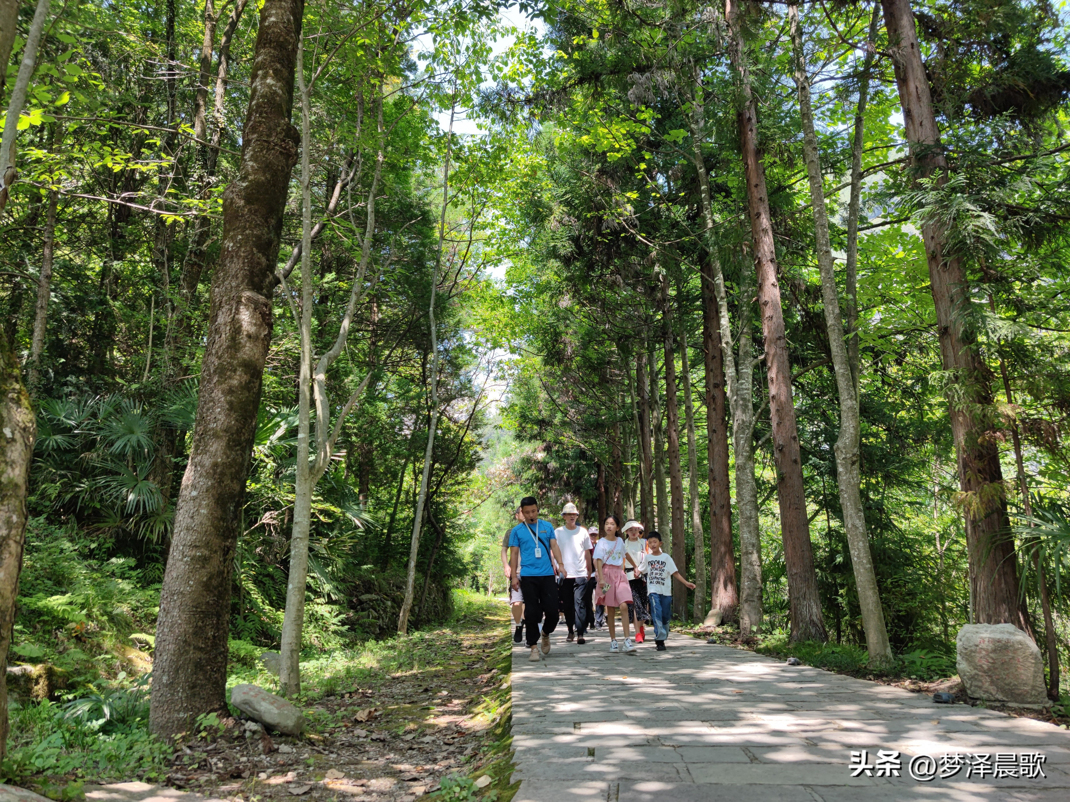 神农架神农坛风景区视频,神农架的神农坛有哪些景点