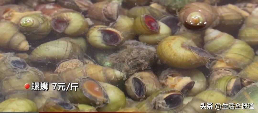 明前螺蛳赛鹅肉,明前螺蛳赛鹅肉下一句