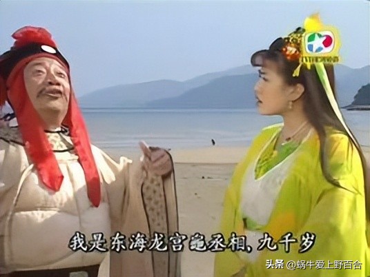 紫衣龟仙玄冥,龟仙紫衣