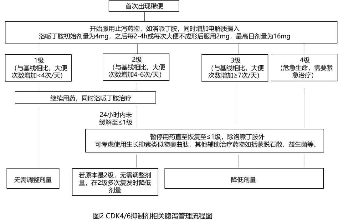 csco乳腺癌诊疗指南2023版,csco2023乳腺癌诊疗指南电子版